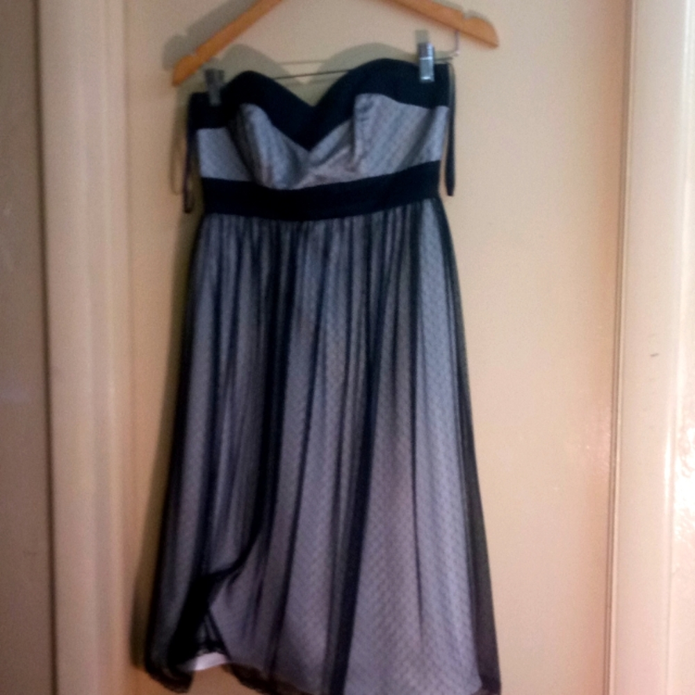 White house black market party dress